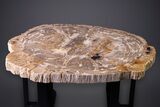 Gorgeous Indonesian Petrified Wood Table - Excellent Wood Detail #264872-6